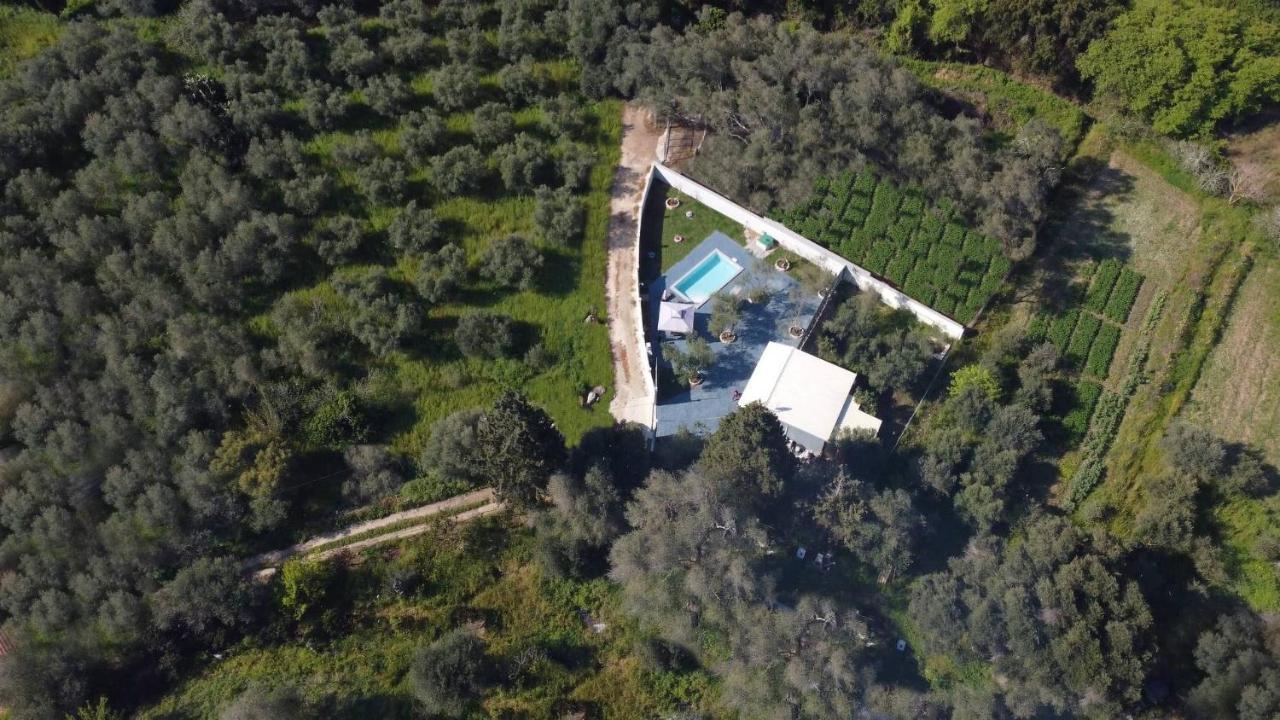 Villa Gardiki For2 Halikúnasz Kültér fotó